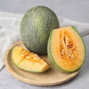 하미과멜론[가정용](골드) 9kg