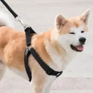 로프 대형견 목줄 하네스 리드줄 세트 XS 반려견산책
