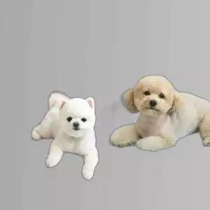 강아지 애견 실내 낮잠 베드 침대 방석 댕댕이