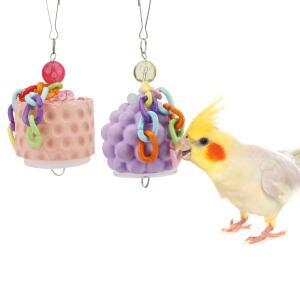 WONTEE 새 부리 그라인딩 스톤 칼슘 간식 블록 퀘이커 앵무새, 장난감 COCKATIELS 세네갈 CONURES 씹는 BUDGIES (오렌지+퍼플) 2개