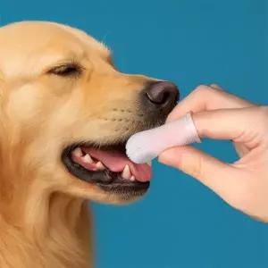 ( )애견 손가락 칫솔 강아지부드러운칫솔 아기고양이칫솔 강아지칫솔