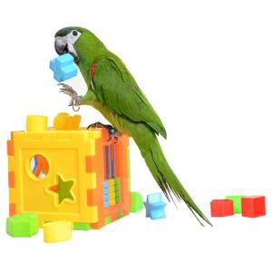 WONTEE 새 퍼즐 훈련 블록 장난감 BUDGIE COCKATIELS 교육 앵무새 개발 CONURES 지능 FINCHES