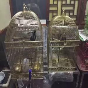 앤틱 새장 인테리어 엔틱새장 결혼식 사육장 소형 촬영 잉꼬 장식품