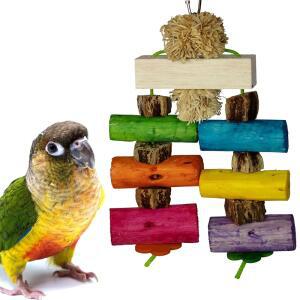 SUPER BIRD CREATIONS SB1179 SOLA SURPRISE 잡고 앵무새, - 새를 행동에 위한 제작 장난감 위해 링넥, 6인치) 새 씹는 중간 코누어, 미리 22.9 미디엄 퀘이커를 이상적 X 나무 크기의 15.2CM(9