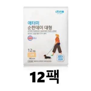 [셀러허브]애터미 순한데이 생리대 대형 12매 x 12팩 (S49504181)