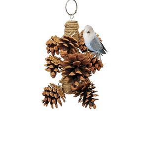CXYYXF PARROT TOYS 솔방울 새 츄잉 걸이식 스틱 앵무새 (솔방울 8개 잉꼬 CONURES 포함) 새장 장난감
