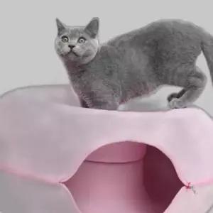 도넛 고양이 핑크 터널 60cm 집 하우스