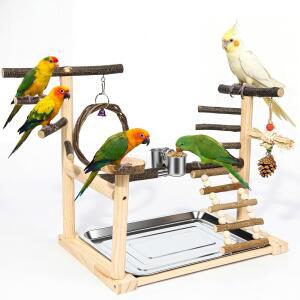 새 놀이터, 패럿 스탠드(피딩 컵 포함), 새에게 장난감, 씹는 농어 적합, 그네, 트레이, 중소형 잉꼬, 이상적인 버저리가, 칵테일에 탈착식