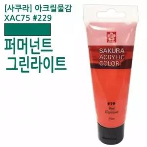 아크릴물감 75ml 퍼머넌트그린라이트 229 미술용품 미술재료