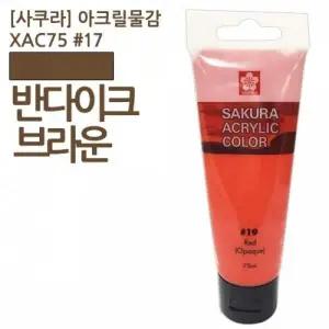 사쿠라 아크릴물감 75ml 미술용품 미술재료 준비물 아크릴과슈