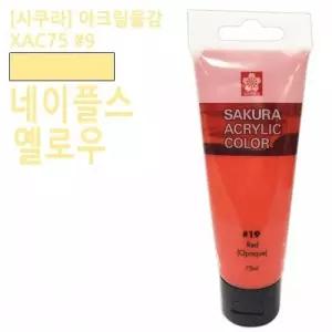 아크릴물감 네이플스옐로우 75ml 미술재료
