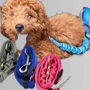 애완동물 강아지 고양이 조절가능 자동차 안전벨트