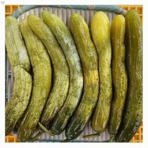강원도 홍천 삼둔농원 오대산 오이지절임 1kg 2개 초오이 피클반찬 장아찌