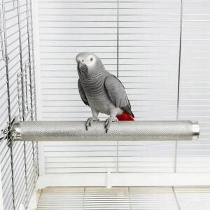 AOTU 대형 새 농어 스테인리스 스틸 및 케이지 다듬기 부리 발톱 액세서리용 앵무새 스탠드 X 농어용 있는 내구성 11.8