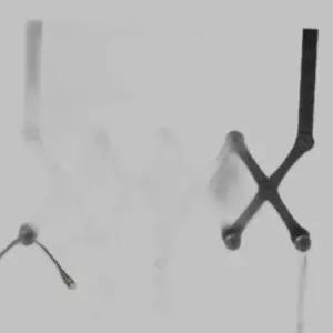 퀸하우스 자바라 5구 도어후크(블랙) 방문행거