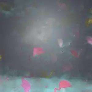 CS 007 냅킨 블루 홍학 10봉