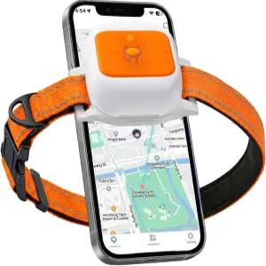 반려견용 GPS 반려동물 트래커 칼라 5.4 22 넥 실시간 위치 추적 GPS/WiFi/LBS 가상 울타리 과거 경로 활동