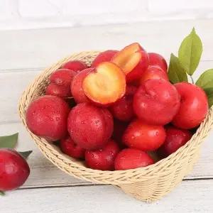 [오늘담은] 의성 옥자두 5kg 소과 / 개당 30g 내외 대석자두