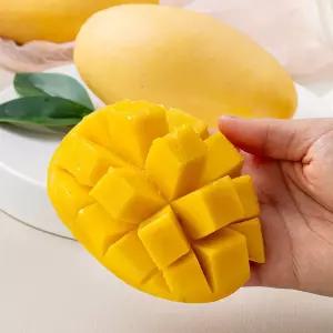 태국 남덕마이 골드망고 4kg(8~12입)