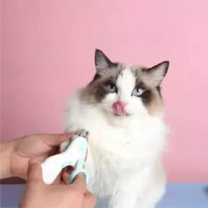 D 강아지 고양이 LED 발톱깎이 손톱깎이 발톱깍기