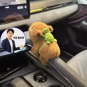 지금 필요한 차꾸템 손목 인형 안전벨트 거북이 깜빡이 카피바라자동차 카피바라