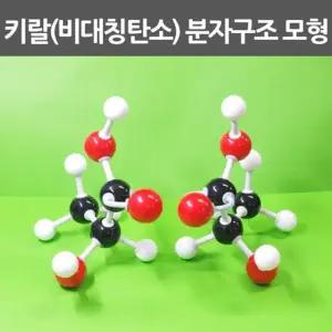 비대칭탄소 키랄 분자구조 모형 만들기 교구 A1418