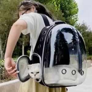 앞가방 캐리어 백팩 이동가방 고양이 투명 강아지 여성백팩 스트링백팩 여자백팩