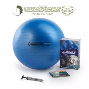 LEDRAGOMMA 레드라곰마 프리미엄 짐볼 MAXAFE (53cm/파란색)