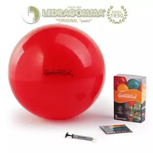 LEDRAGOMMA 레드라곰마 짐볼 스탠다드 (75cm/빨간색)