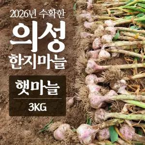 2026년산 의성마늘 햇마늘 3kg 마늘 농사 3대째