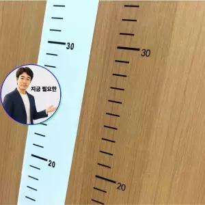 지금 필요한 2M 스티커 키재기 아이 측정 줄자