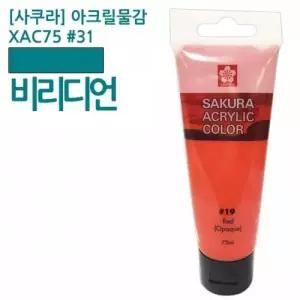라벤더 딥로즈마젠타 라우시에나 레몬옐로우 반다이크브라운