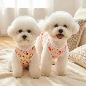 반려동물 강아지 고양이 여름 민소매 티셔츠 쿨링 애견 의류 옷
