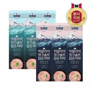 [엘지생활건강]히말라야핑크솔트 치약 (플로럴,아이스 2종 택1) 100g3 x 2개