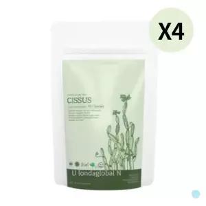 [하프클럽/기타]자연해답 시서스 가루 70배 농축 분말 인도산 500g X4