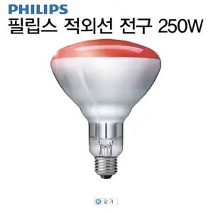 필립스 적외선 전구 250W 1박스 10개