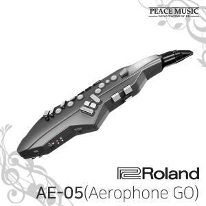 Roland 롤랜드 Aerophone GO AE-05 AE05 전자 색소폰 AE10