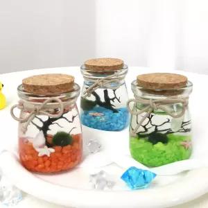 푸딩 마리모 키우기 수경식물 DIY 어항 실내 정원 꾸미기