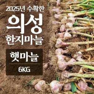 2026년산 의성마늘 햇마늘 6kg 마늘 농사 3대째