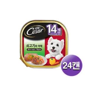 시저 14세이상 쇠고기와야채 100g 24캔/무료배송