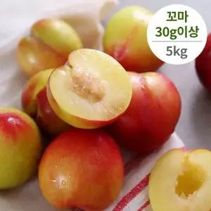 [다농이네]햇 노지 대석 자두 5kg 30g이상 꼬마