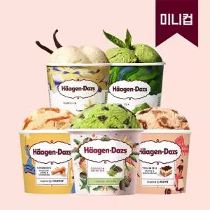 맛있는家 하겐다즈 아이스크림 미니컵 6개