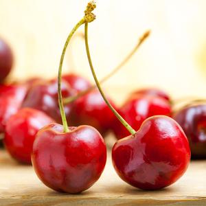 수입과일 고당도 생체리 9.5R (특대) 2kg 왕체리