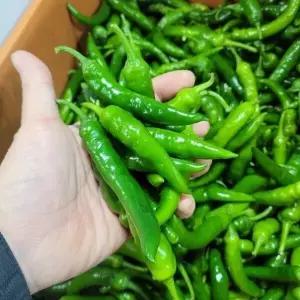 고추 청양고추 상 1kg 발품장터