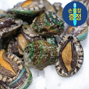 완도 왕특대 활 전복 1kg 크기별 6미부터 꼬마전복, 손질도구 무료