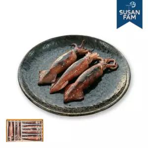 동해안 선동 초코오징어 20미 통 오징어 내장 총알 통찜 숙회
