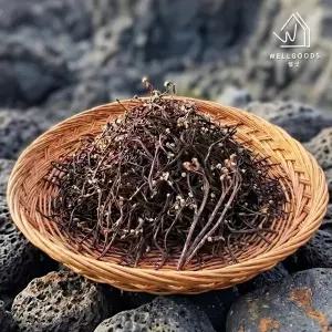 [웰굿] 산지직송 제주 건나물 건 고사리 100g