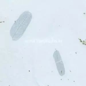 한지로 꽃보라한지 A4 15장입 23 연하늘 봉(1개입)
