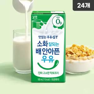 남양 멸균우유 맛있는우유 GT 락토프리 유제품 180ml 24개