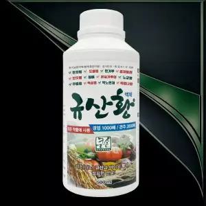 규산황 진딧물 총채벌레 고추 탄저병 친환경살충제